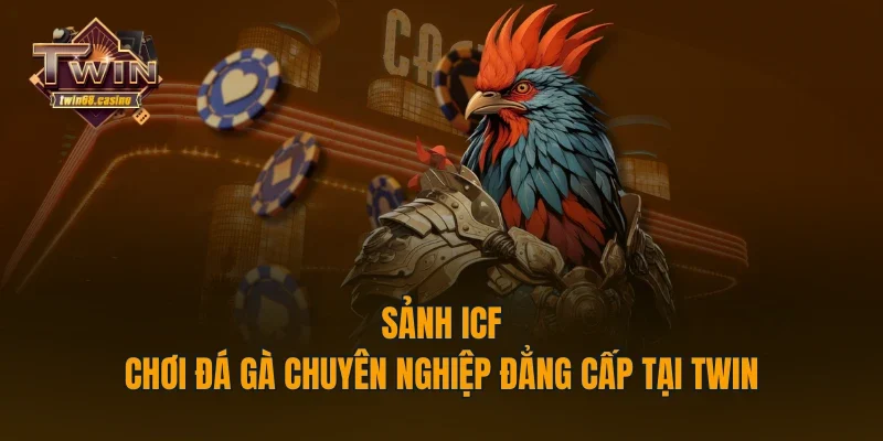 Sảnh ICF - Chơi Đá Gà Chuyên Nghiệp Đẳng Cấp Tại TWIN68