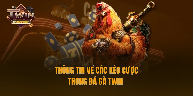Thông tin về các kèo cược trong đá gà TWIN68